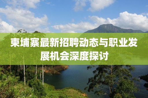柬埔寨最新招聘动态与职业发展机会深度探讨