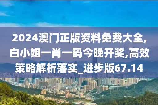 2024澳门正版资料免费大全,白小姐一肖一码今晚开奖,高效策略解析落实_进步版67.14