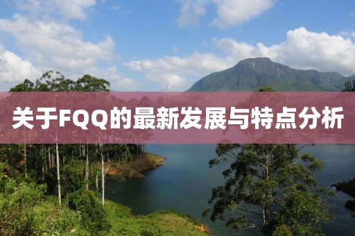 关于FQQ的最新发展与特点分析