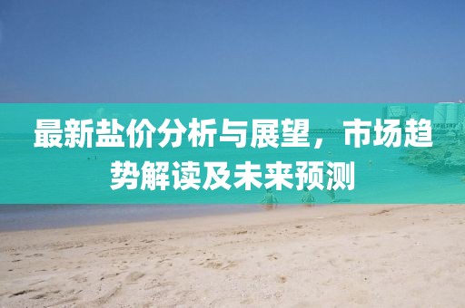 最新盐价分析与展望，市场趋势解读及未来预测
