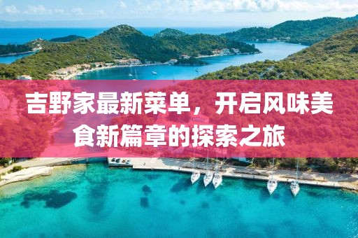 吉野家最新菜单，开启风味美食新篇章的探索之旅