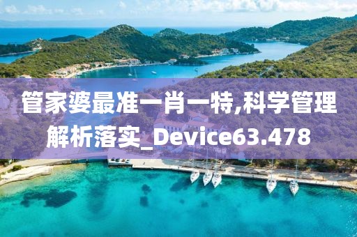 管家婆最准一肖一特,科学管理解析落实_Device63.478