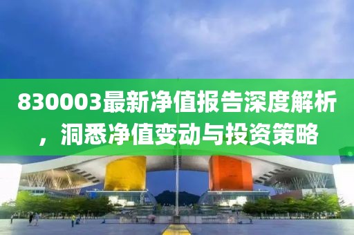 830003最新净值报告深度解析，洞悉净值变动与投资策略