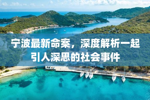 宁波最新命案，深度解析一起引人深思的社会事件