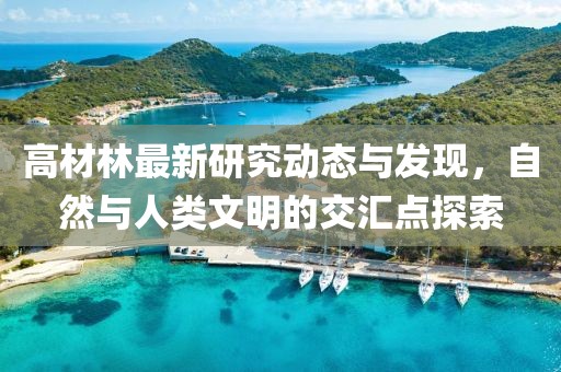 澳门正版资料2024 第14页