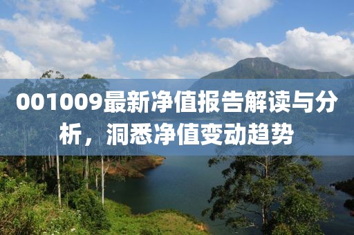 001009最新净值报告解读与分析，洞悉净值变动趋势