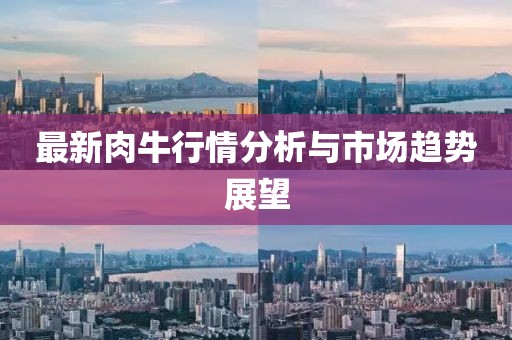 最新肉牛行情分析与市场趋势展望