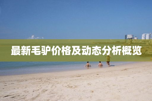 最新毛驴价格及动态分析概览