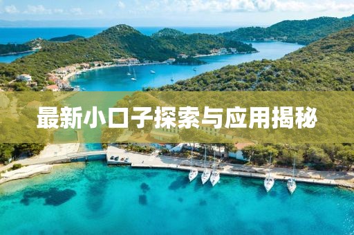 最新小口子探索与应用揭秘
