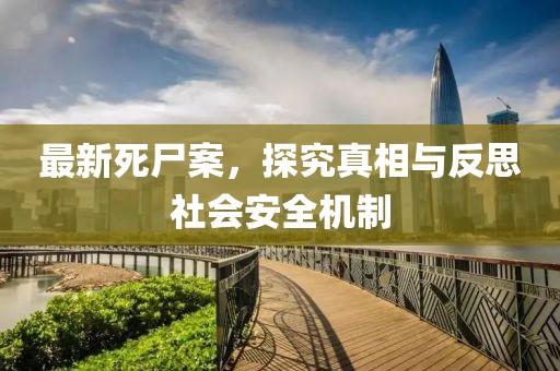 最新死尸案，探究真相与反思社会安全机制