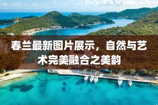 春兰最新图片展示，自然与艺术完美融合之美韵