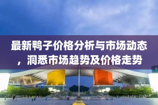最新鸭子价格分析与市场动态，洞悉市场趋势及价格走势