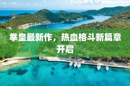 拳皇最新作，热血格斗新篇章开启