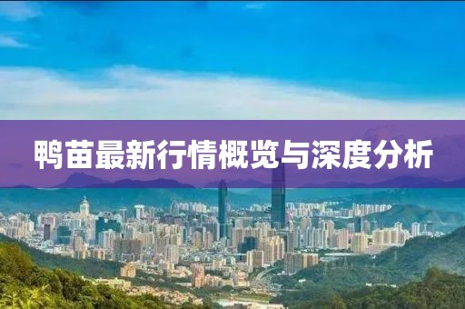 鸭苗最新行情概览与深度分析