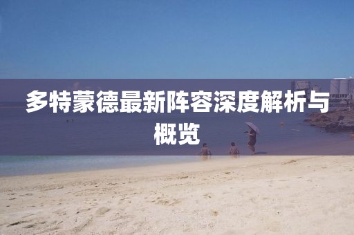 多特蒙德最新阵容深度解析与概览