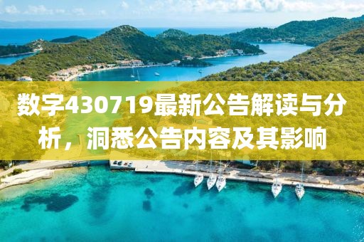数字430719最新公告解读与分析，洞悉公告内容及其影响