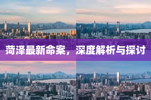 菏泽最新命案，深度解析与探讨