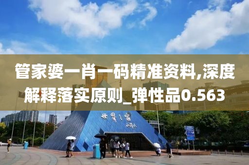 管家婆一肖一码精准资料,深度解释落实原则_弹性品0.563