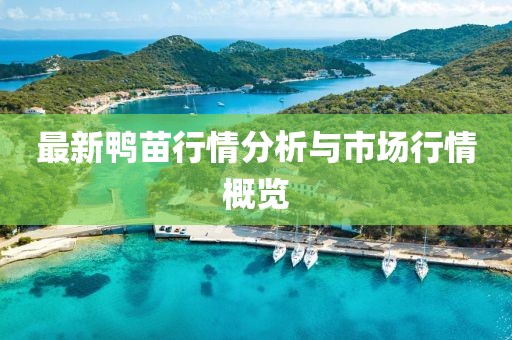 最新鸭苗行情分析与市场行情概览