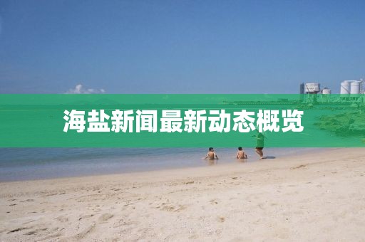 海盐新闻最新动态概览