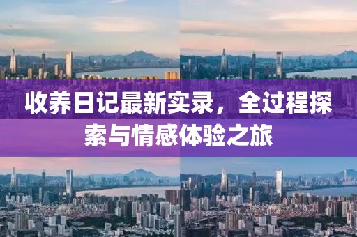 收养日记最新实录，全过程探索与情感体验之旅