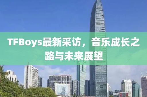 管家婆2023正版资料 第13页
