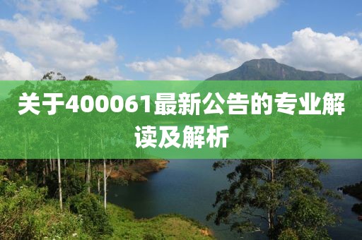 关于400061最新公告的专业解读及解析
