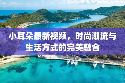 小耳朵最新视频，时尚潮流与生活方式的完美融合