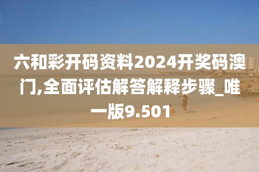 六和彩开码资料2024开奖码澳门,全面评估解答解释步骤_唯一版9.501