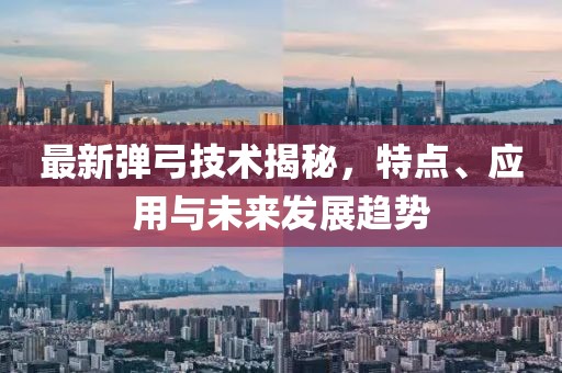 最新弹弓技术揭秘，特点、应用与未来发展趋势