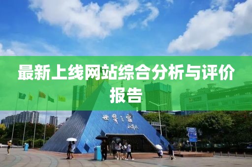 最新上线网站综合分析与评价报告