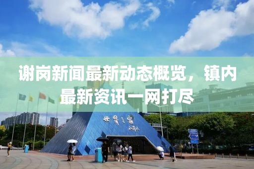 谢岗新闻最新动态概览，镇内最新资讯一网打尽