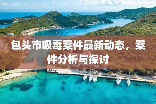 包头市吸毒案件最新动态，案件分析与探讨