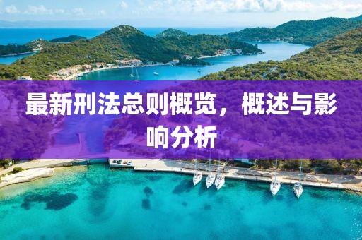 最新刑法总则概览，概述与影响分析
