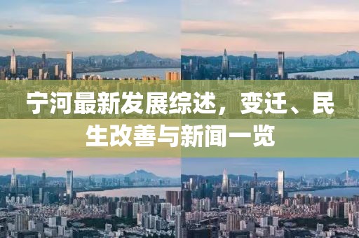 宁河最新发展综述，变迁、民生改善与新闻一览