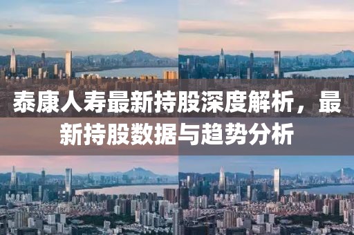 泰康人寿最新持股深度解析，最新持股数据与趋势分析