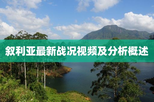 叙利亚最新战况视频及分析概述