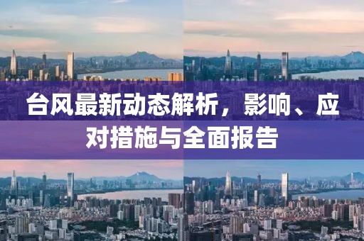 台风最新动态解析，影响、应对措施与全面报告