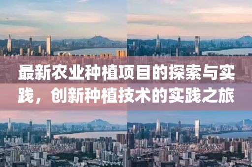 最新农业种植项目的探索与实践，创新种植技术的实践之旅