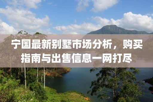 宁国最新别墅市场分析，购买指南与出售信息一网打尽