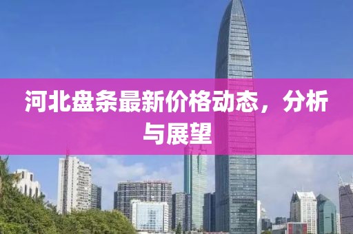 河北盘条最新价格动态，分析与展望