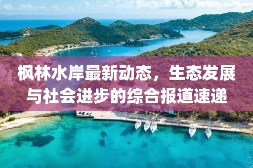 枫林水岸最新动态，生态发展与社会进步的综合报道速递