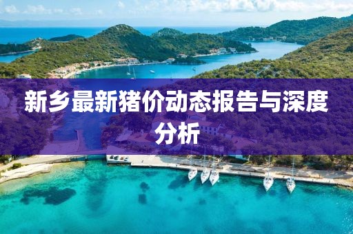 新乡最新猪价动态报告与深度分析