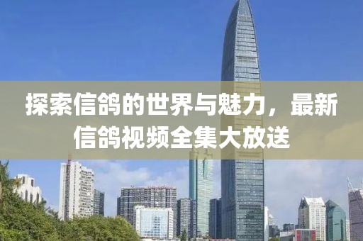 探索信鸽的世界与魅力，最新信鸽视频全集大放送