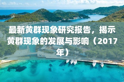 最新黄群现象研究报告，揭示黄群现象的发展与影响（2017年）