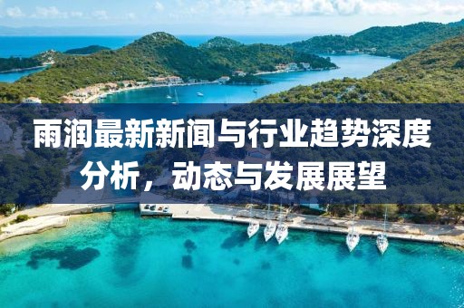 雨润最新新闻与行业趋势深度分析，动态与发展展望
