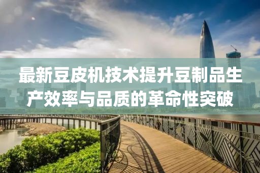 最新豆皮机技术提升豆制品生产效率与品质的革命性突破
