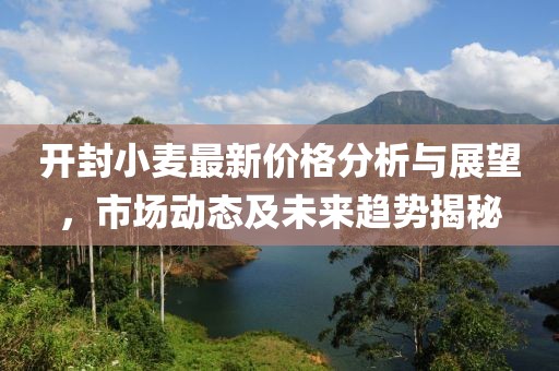 开封小麦最新价格分析与展望，市场动态及未来趋势揭秘