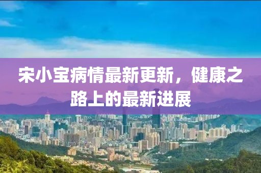 宋小宝病情最新更新，健康之路上的最新进展
