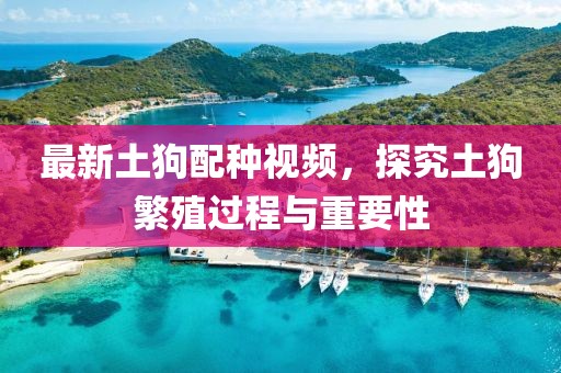 最新土狗配种视频，探究土狗繁殖过程与重要性